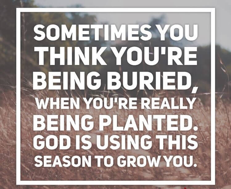 Remember, God Is With Us Through Our Growth